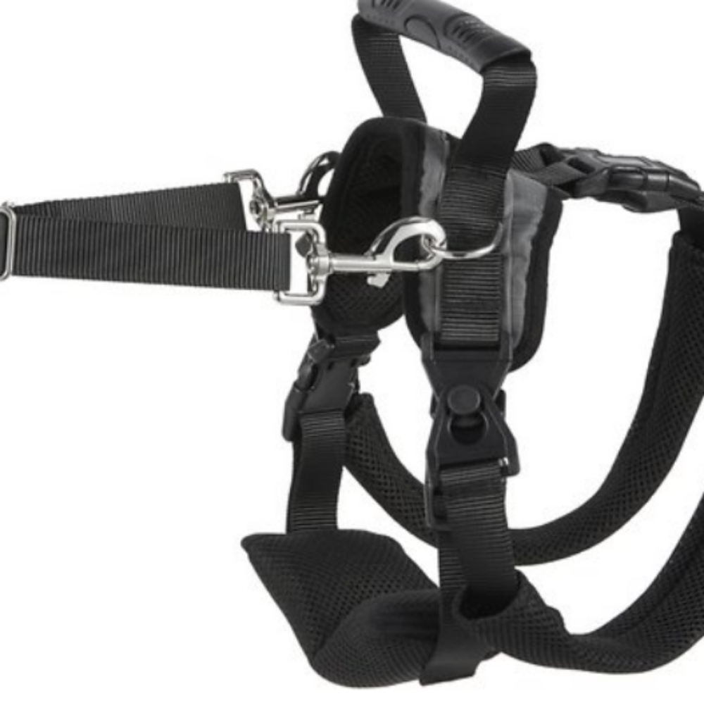 Rear lift dog harness